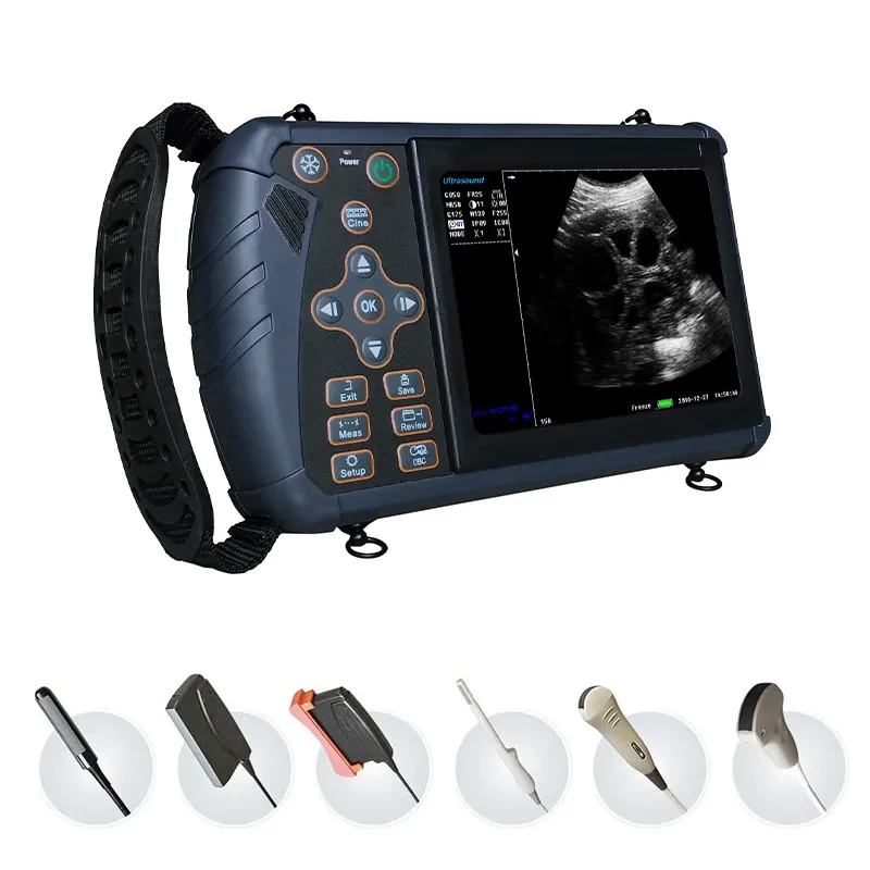 Veterinary Ultrasound Portable Ultrasound Machine Veterinary Ultrasound For Animal